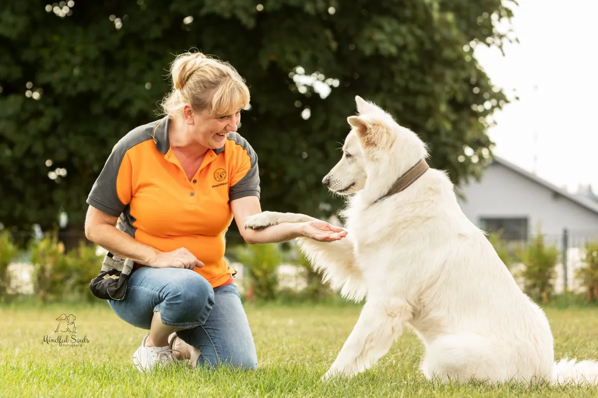 Birgit Prager im orangefarbenen Shirt kniet auf der Wiese und gibt einem weißen Schäferhund Pfote