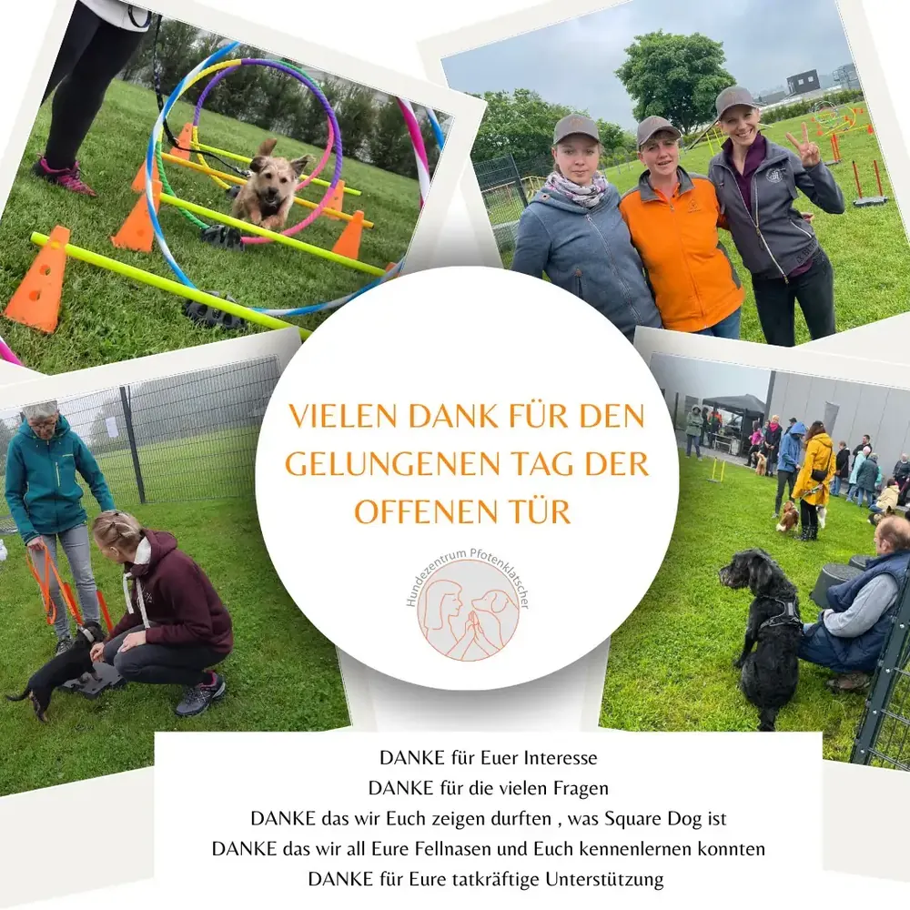 Collage vom Tag der offenen Tür: Hunde im Parcours, Besucher und Trainerinnen – „Vielen Dank für den gelungenen Tag der offenen Tür“